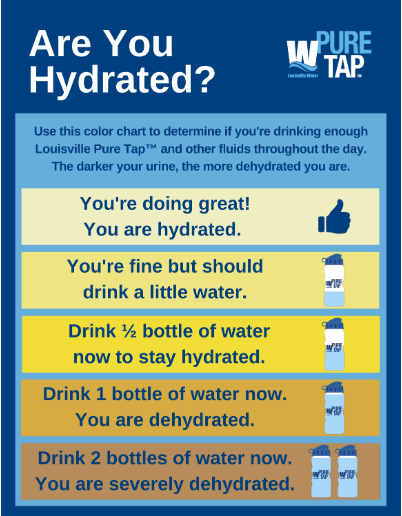 are you hydrated chart