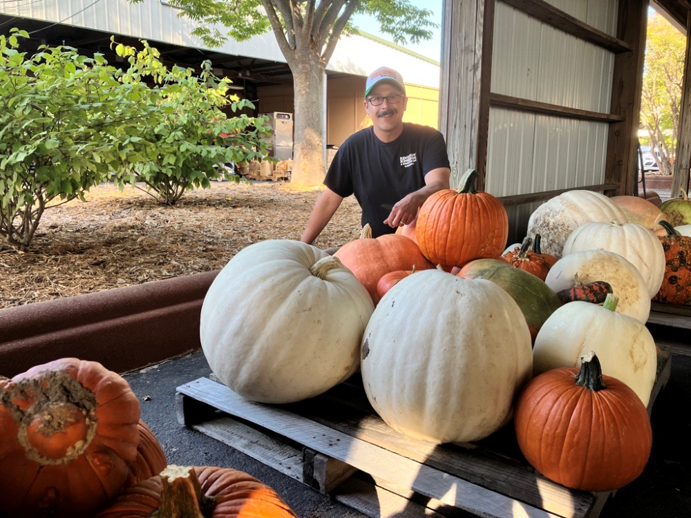 Horticulture manager with pumpkins
