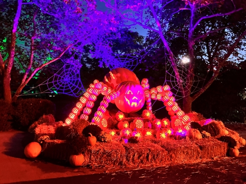 Pumpkin spider web display