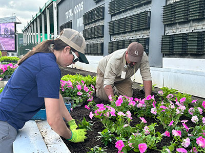 Derby employee working with plants