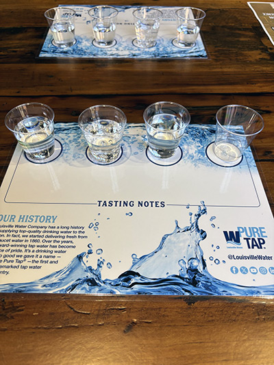 Water tasting mat