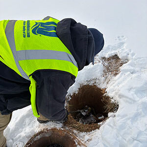 Metering Specialist Mike Harshfield checking water meters