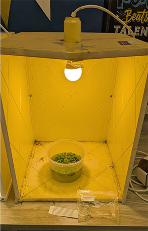 A look at one of the students' experiments