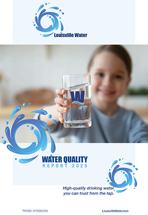 CCR 2025 report