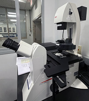 Lab microscope