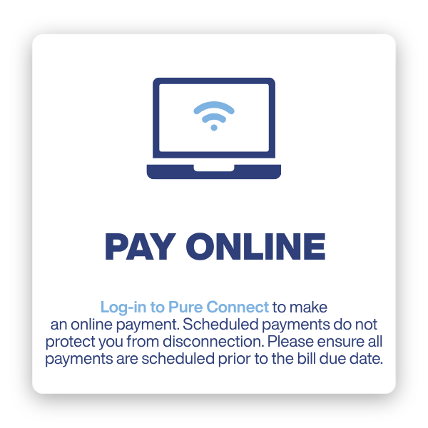 Pay Online icon