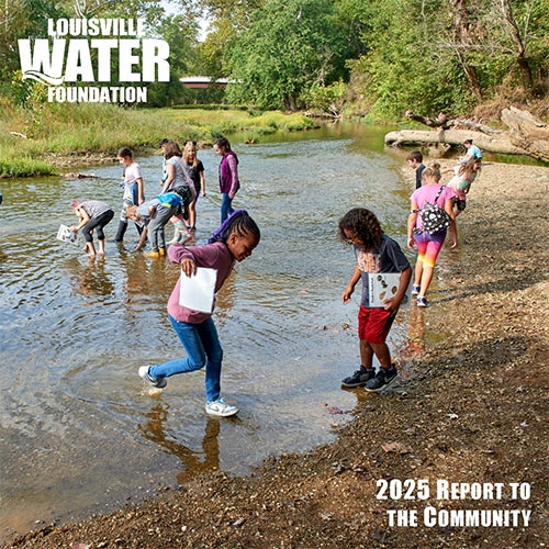 2025 Foundation report cover