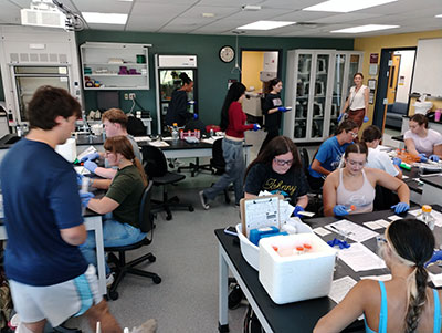 Bellarmine Lab
