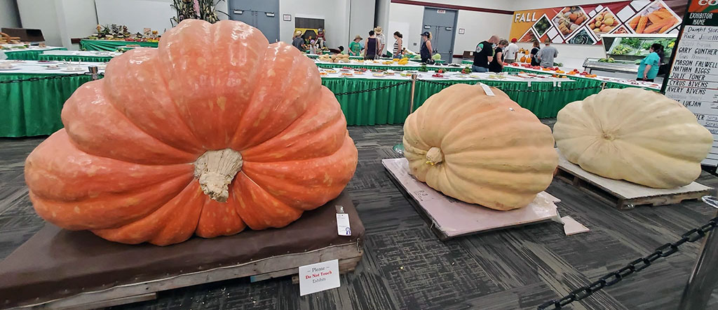KY state fair - giant pumkins