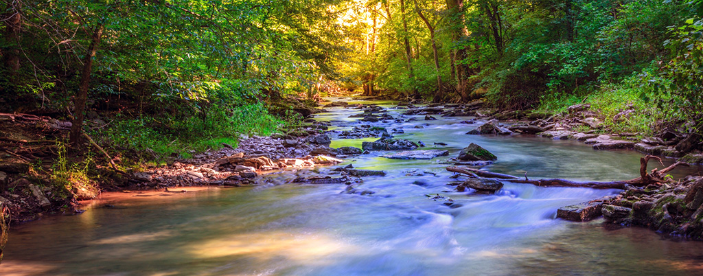 KY Creek