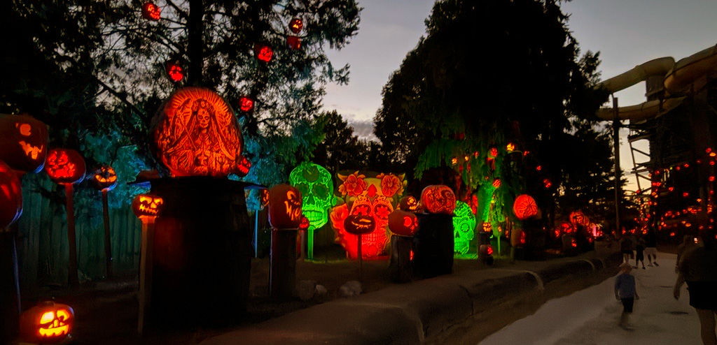 Dia de los Muertos pumpkins