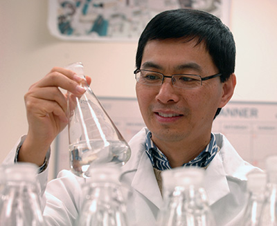 Dr. Rengao Song in lab