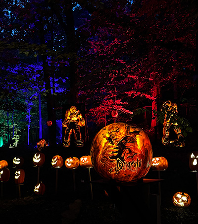 JTL Dracula forest