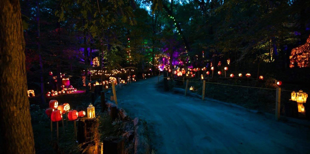 Halloween Forest path